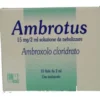 AMBROTUS Neb.15mg/2ml 10 fiale