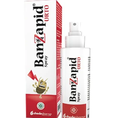 BANZAPID Spray Tratt.100ml