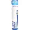 Boiron Argentum Nitricum 6CH Granuli Omeopatico - 80 Granuli