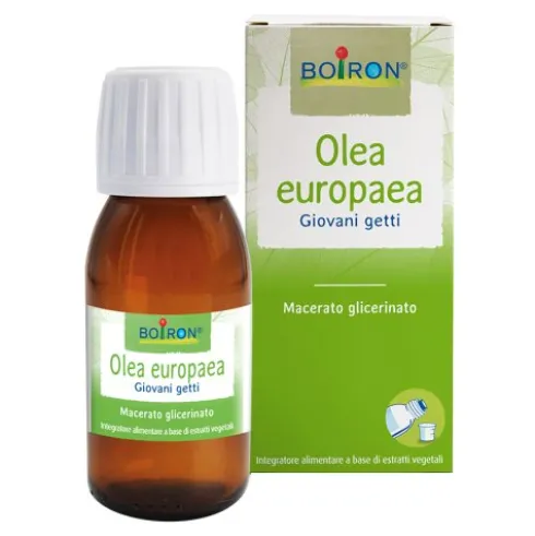 BO.OLEA EUROPEA MG 60ml