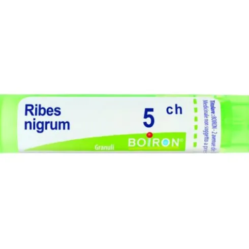BO.RIBES NIGRUM Tubo 5CH