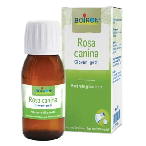 BO.ROSA CANINA MG I 60ml