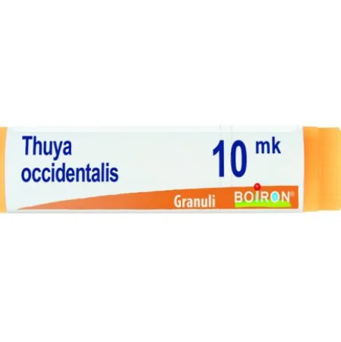 BO.THUYA OCC.Dose XMK