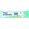 BO.THUYA OCC.Tubo 200K