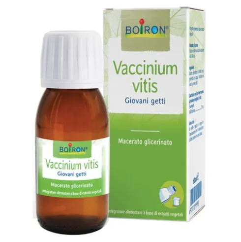 BO.VACCINIUM VITIS MG I 60ml