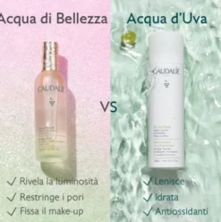 Caudalie Acqua Di Bellezza - Luminosità dell'incarnato - 100 ml