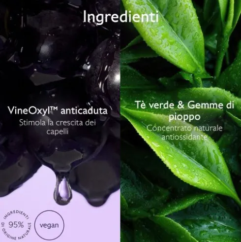 Caudalie Shampoo Ridensificante e Volumizzante - Shampoo per capelli sottili e tendenti alla caduta - 200 ml