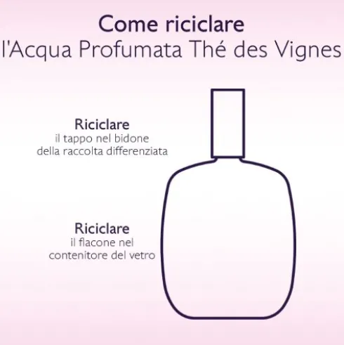Caudalie Thé des Vignes Acqua Profumata - Profumo sensuale e muschiato - 50 ml