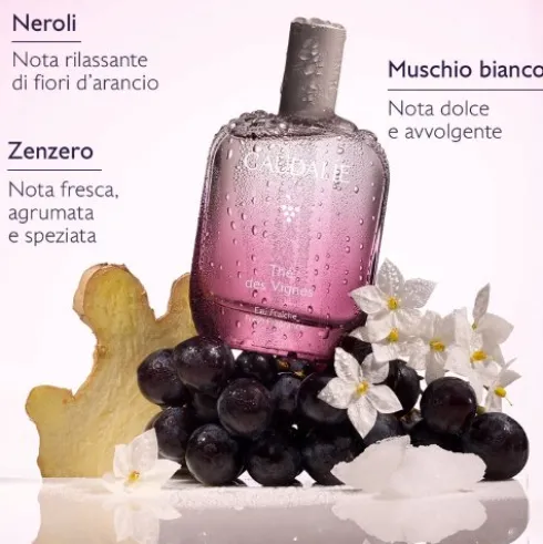 Caudalie Thé des Vignes Acqua Profumata - Profumo sensuale e muschiato - 50 ml