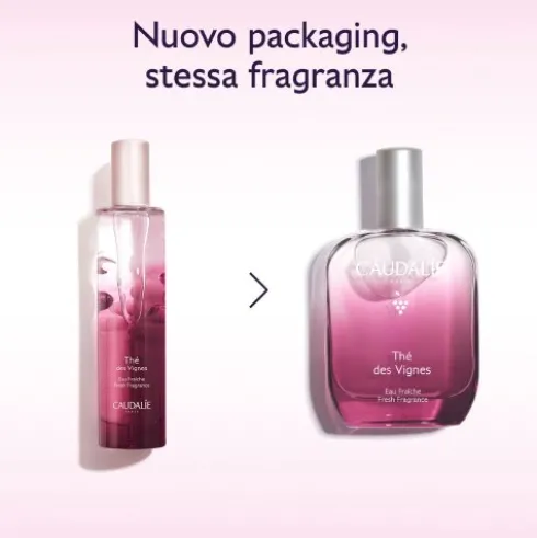 Caudalie Thé des Vignes Acqua Profumata - Profumo sensuale e muschiato - 50 ml