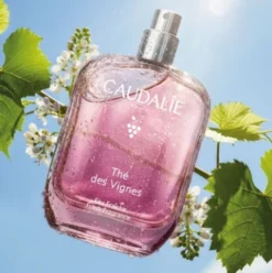 Caudalie Thé des Vignes Acqua Profumata - Profumo sensuale e muschiato - 50 ml