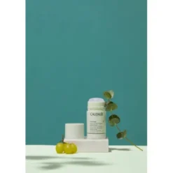 Caudalie Vinofresh Deodorante Stick Naturale - Neutralizza gli odori fino a 24 h - 50 g