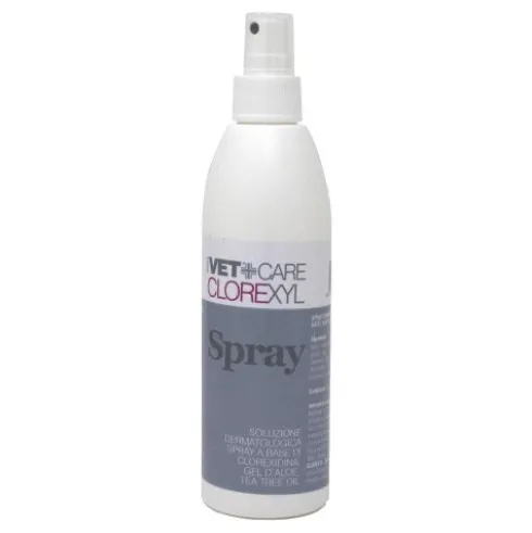 CLOREXYL Soluz.Spray 150ml