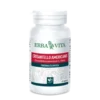 CRISANTELLO Americano 60 Capsule 500 mg ErbaVita