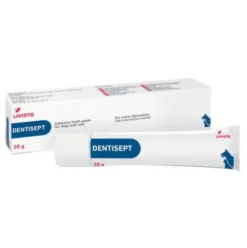 DENTISEPT Pasta Dent.20g