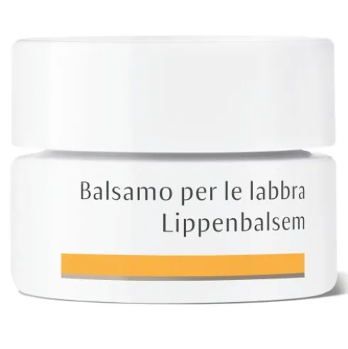 DR HAUSCHKA Bals.Labbra 4,5g