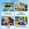 Enterogermina 2 Miliardi - Equilibrio della flora batterica intestinale - 10 flaconcini da 5 ml
