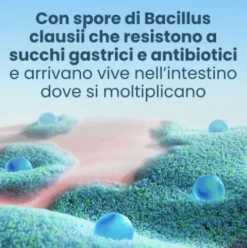 Enterogermina 2 Miliardi - Equilibrio della flora batterica intestinale - 10 flaconcini da 5 ml