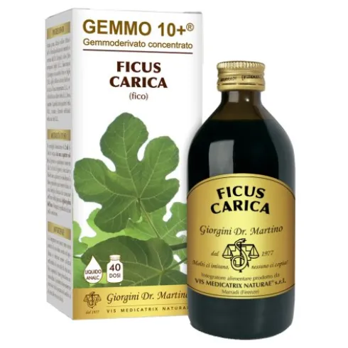 FICO Liq.Analc.Gemmo 10+ 200ml