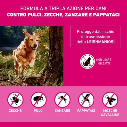 Frontline Tri-Act per Cani da 5 a 10 kg - Pipette antiparassitarie Contro Parassiti Esterni E Insetti Volanti - 6 Pipette Monodose