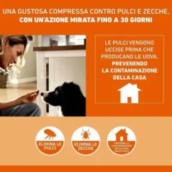 FRONTPRO Cani da 10 a 25 kg - Compresse masticabili antiparassitarie contro pulci e zecche - 3 compresse