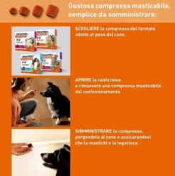 FRONTPRO Cani da 10 a 25 kg - Compresse masticabili antiparassitarie contro pulci e zecche - 3 compresse