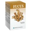 FUCUS 150 Tav.SPECCH.