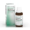 Guna Berberis Homaccord Gocce Omeopatiche per Vie Urinarie 30 ml