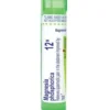 Hering Magnesia Phosphorica Gocce Omeopatiche 12LM 30ml