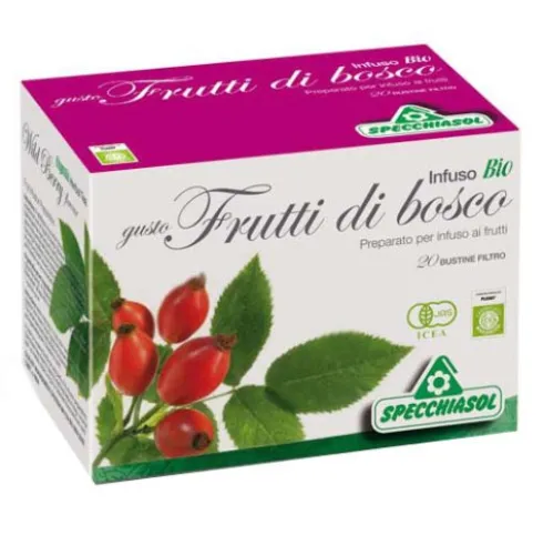 INFUSO Bio FruttaBosco 20F.SPE