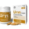 Innovet Urys Caps Integratore Benessere Vie Urinarie Cani e Gatti 30 Capsule