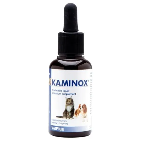 KAMINOX Sciroppo 60ml