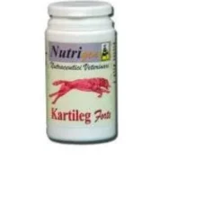 KARTILEG Forte 1g 60 Tav.