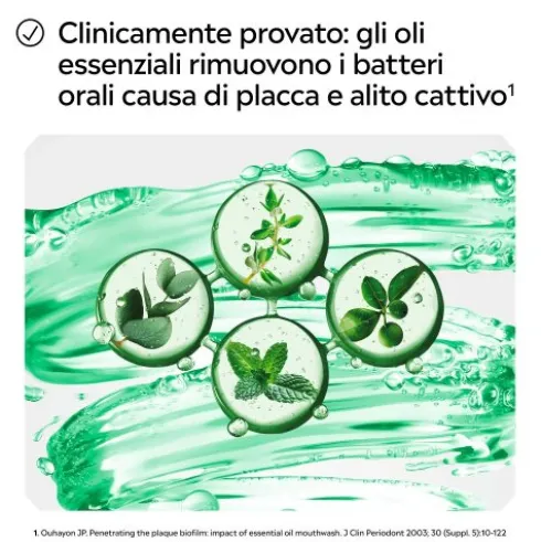 Listerine Difesa Denti e Gengive Collutorio - Ideale per l'igiene orale quotidiana - Gusto Menta fresca - 500 ml