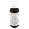 LVS 94C Apium Petros.Comp.