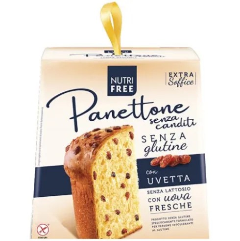 NUTRIFREE Panett.S/Cand.600g