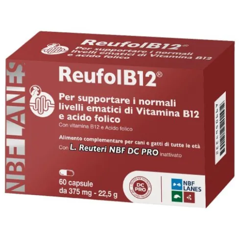 REUFOLB12 60Cps