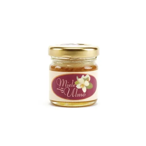 Rg Pharma Miele di Ulmo Vasetto da 40g