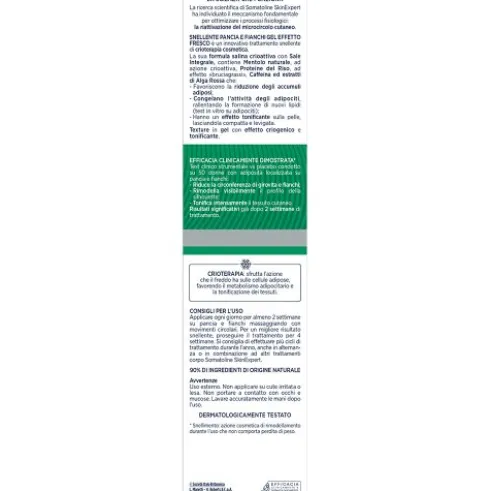 Somatoline Skin Expert Snellente Pancia e Fianchi Cryogel - Crema anticellulite effetto freddo - 250 ml