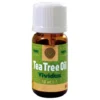 TEA TREE Oil 10ml VIVIDUS