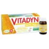 VITADYN Pappa Reale 10fl.10ml