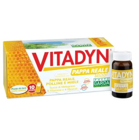 VITADYN Pappa Reale 10fl.10ml